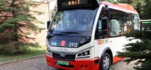 Związek gmin i powiatów z okolic Strzelec Opolskich kupuje autobusy